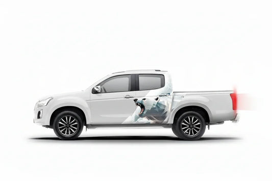 Bear Edition Graphics for Isuzu V Cross white