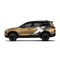 Cosmic Gold