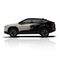 Desert Mist