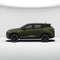 Seaweed Green