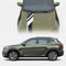 Pewter Olive