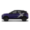 Fearless purple